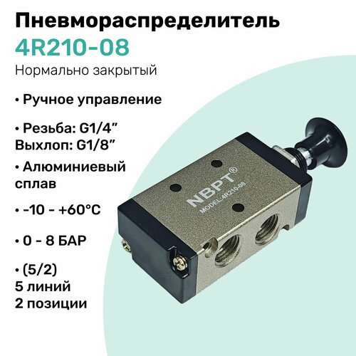 NBPT