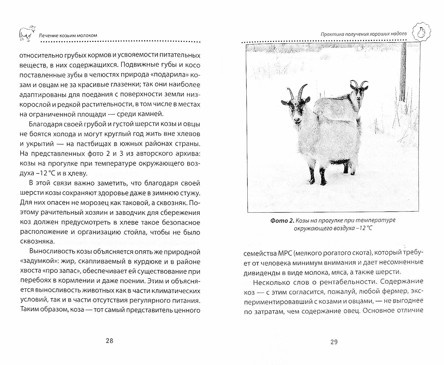 Лечение козьим молоком (Мюллер Андрей) - фото №2