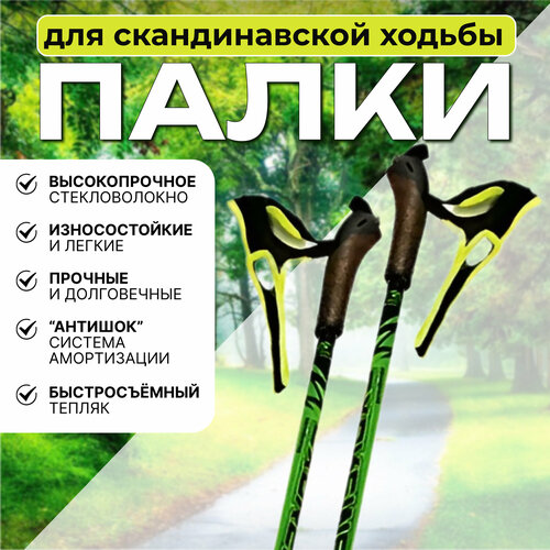 Палки для ходьбы STC EXTREME GREEN (130 см)