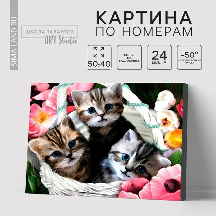 Картина по номерам на холсте с подрамником Котята Школа талантов - фото №6