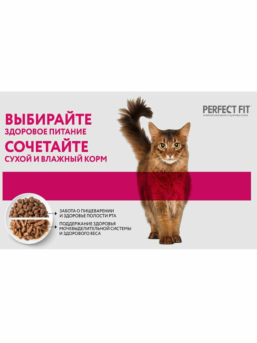 Корм для кошек Perfect Fit Индейка в соусе 75г - фото №19