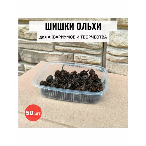 Шишки ольхи для аквариумов и творчества, 50шт