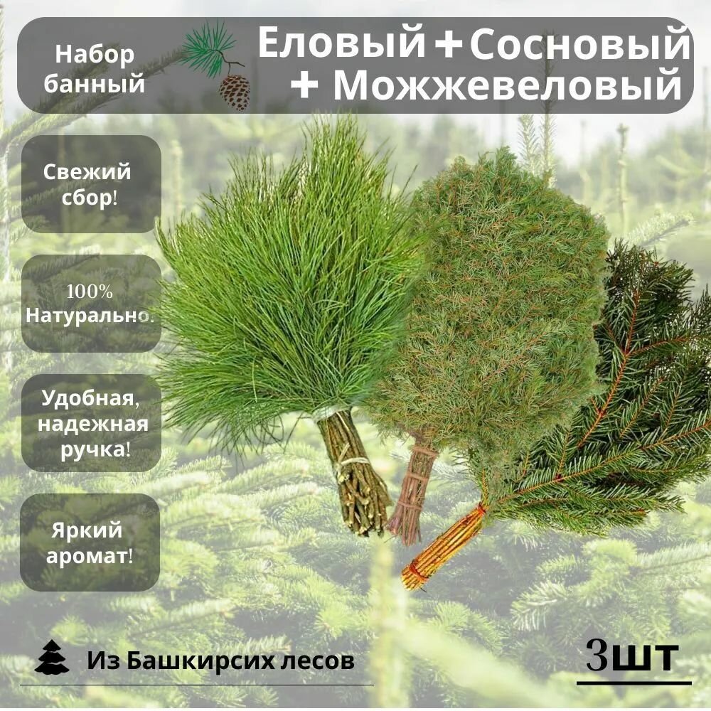 Набор веников для бани Сосновый Еловый и Можжевеловый