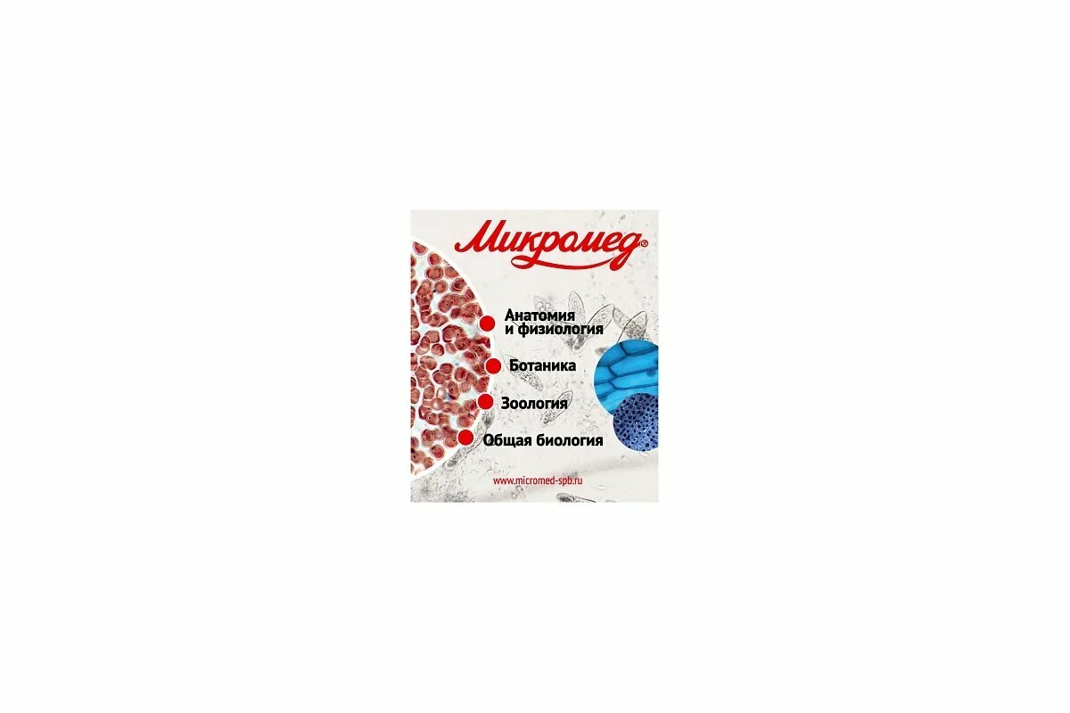 Микромед Набор готовых микропрепаратов №80 23319