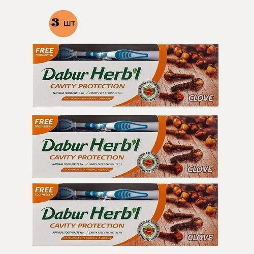 Изображение товара Dabur Herb'l зубная паста CLOVE гвоздика / Дабур Хербл защита полости рта с гвоздикой (зубная щетка в подарок) 150 г - 3 шт