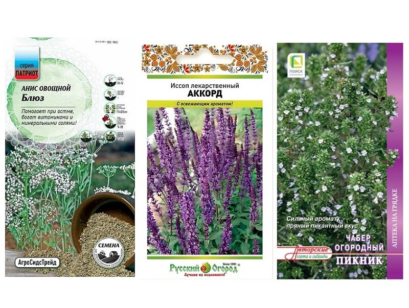 Набор Семян Синяя Россыпь (Анис Овощной Блюз Иссоп Лекарственный Аккорд Чабер Огородный Пикник)