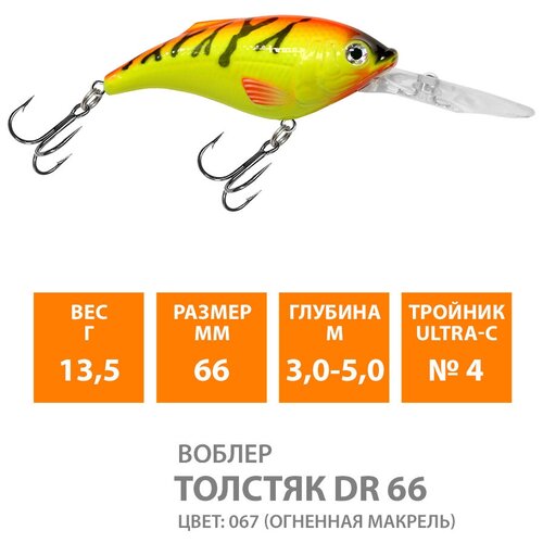 фото Воблер для рыбалки aqua толстяк dr 66mm, вес - 13,5g, цвет 067 (огненная макрель)