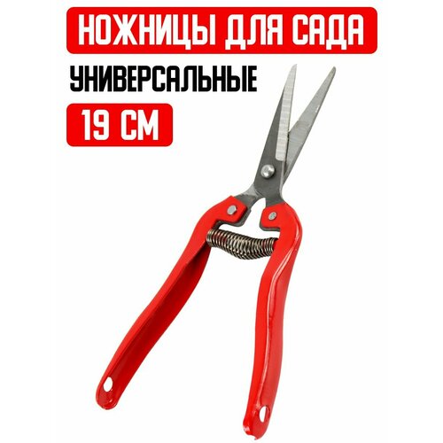 Секатор 19 см