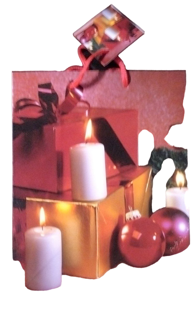 Подарочный пакет "Новогодинка", красный, 23х18 см, Winter Wings (8 шт)