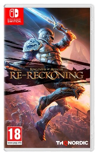 Kingdoms of Amalur Re-Reckoning [US][Nintendo Switch, русская версия]