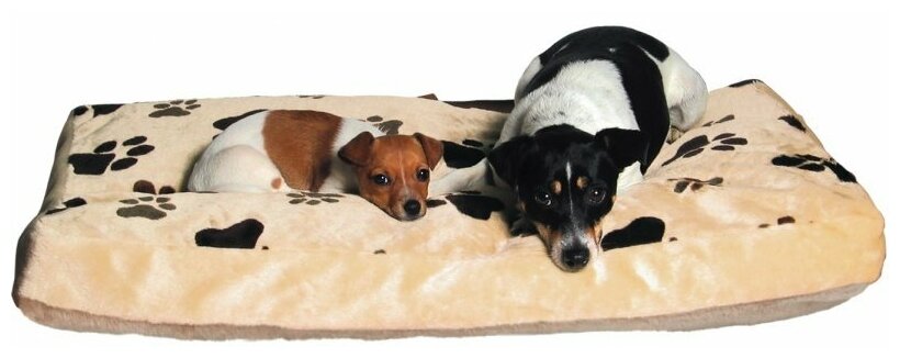 Лежак Joey, 60 х 40 см, Trixie (товары для животных, 37591) - фотография № 1