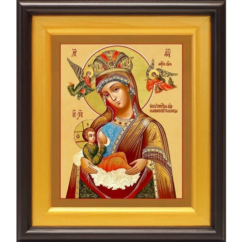 Икона Божией Матери Млекопитательница, в широком киоте 21,5*25 см донская икона божией матери в широком киоте 21 5 25 см