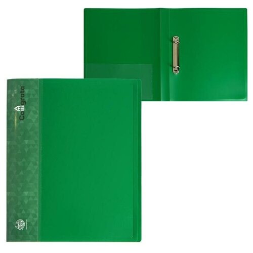 Папка на 2 кольцах А4, Calligrata, 27 мм, 700 мкм, внутренний и торцевой карман, зеленая