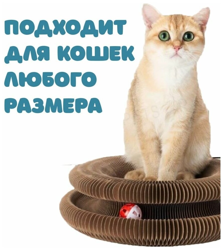 Когтеточка-игрушка 2 в 1 для кошек картонная, экологичная - фотография № 2
