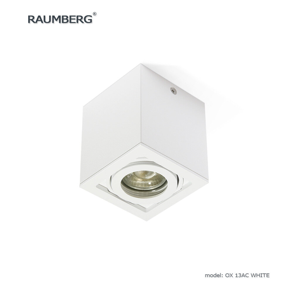 Накладной потолочный светильник RAUMBERG OX13AC wh белый
