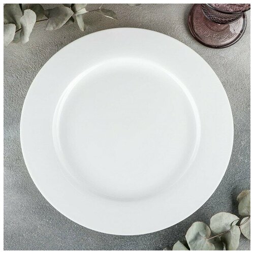 Тарелка фарфоровая обеденная Wilmax Stella Pro, d=27 см, цвет белый
