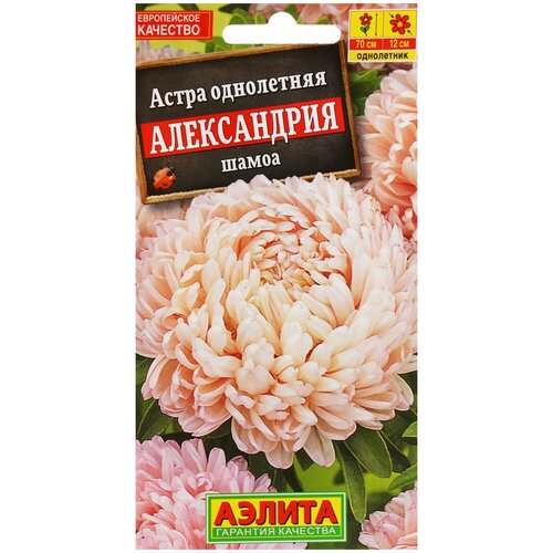 Семена Агрофирма АЭЛИТА Астра Александрия Шамоа 0.1 г семена астра александрия кремовая аэлита