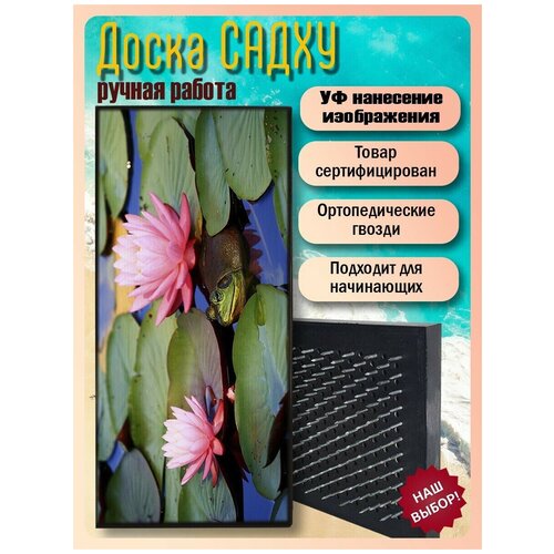 фото Доска садху для йоги с гвоздями, уф печать животные звери лягушка - 3129 шаг 10мм woodart