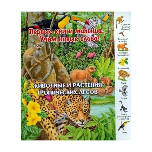 Животные и растения тропических лесов - фото №8