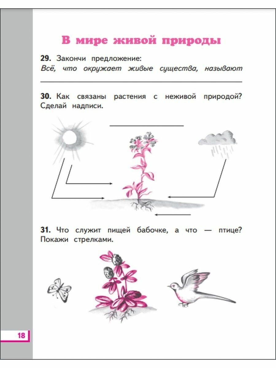 Окружающий мир 2 класс Рабочая тетрадь в 2 к учебнику Г Г Ивченковой И В Потапова Окружающий мир - фото №3