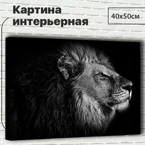 Картина для интерьера / Картина на стену 40х50см "Лев" XL0045 - Крепления в подарок