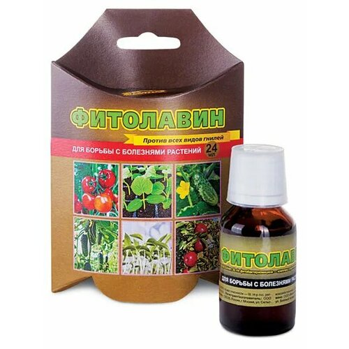 Фитолавин 24мл амп в пакете/30