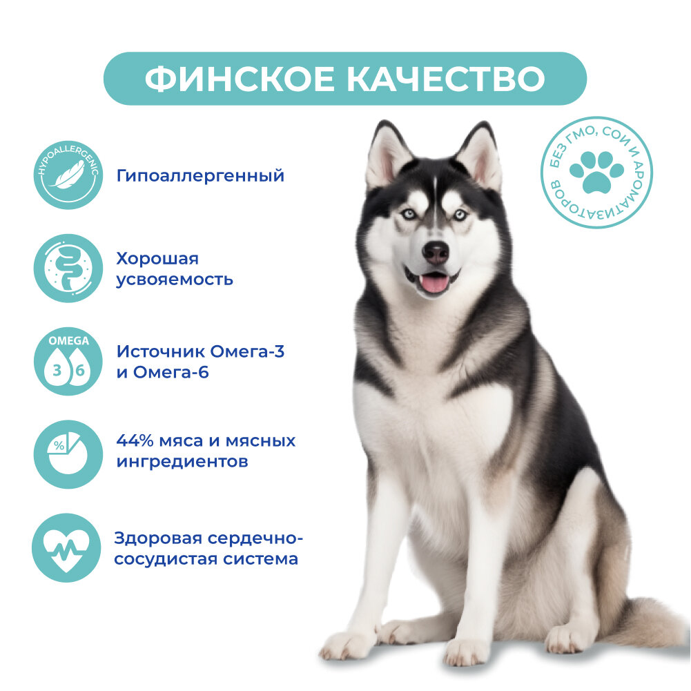 Jarvi сухой монопротеиновый полнорационный корм для собак сред. и крупных пород с чув. пищеварением (Телятина, 400 г.) - фото №3