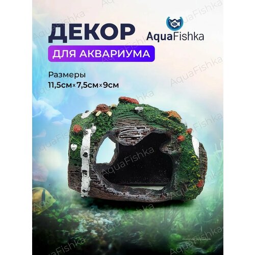 Декорация для аквариума и террариума