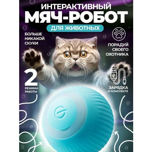 Мяч робот для кошек котят собак дразнилка игрушка интерактивный синий