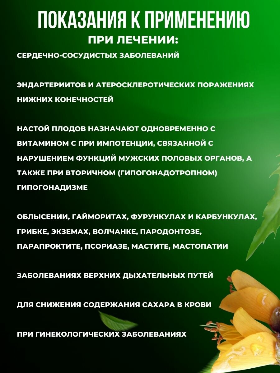 Картинки Настойка Софоры Японской, 100мл, для снижения давления и холестерина, для чистки сосудов и крови