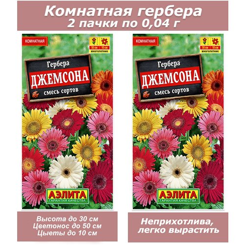 Набор семян, семена комнатных цветов Гербера семена набор семян комнатных цветов эвкалипт