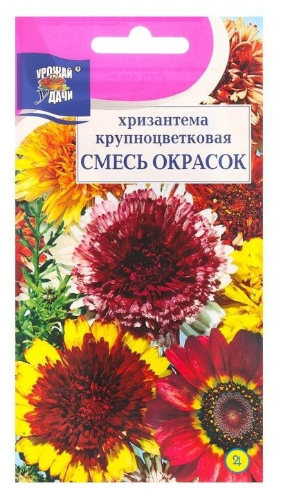 Семена цветов "Урожай удачи" Хризантема многолетняя "Смесь окрасок", крупноцветковая, 0,02 г