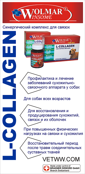 Витамины Wolmar Winsome Pro Bio L-Collagen, флакон , 100 таб.