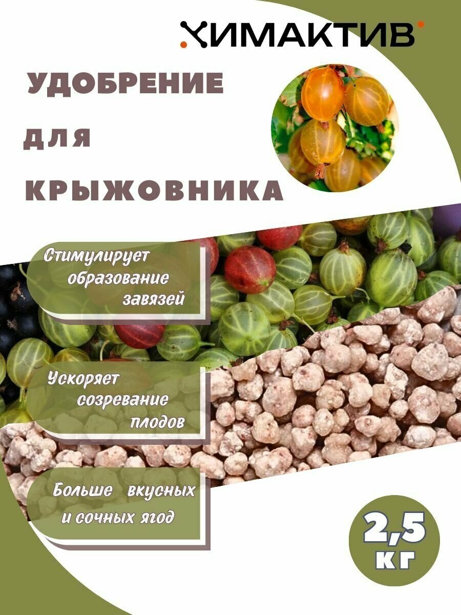 Удобрение для крыжовника 2,5кг Химактив А