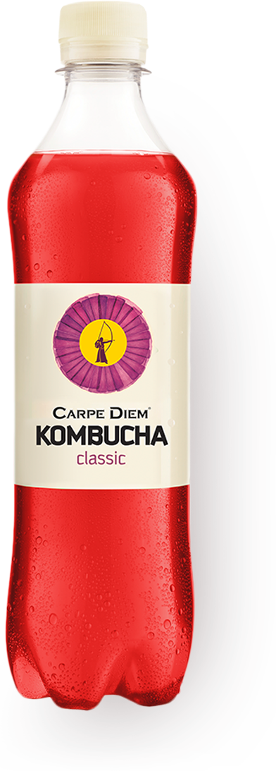 Напиток слабогазированный Сarpe Diem "Kombucha Classic", 0,50л, 1шт - фотография № 3