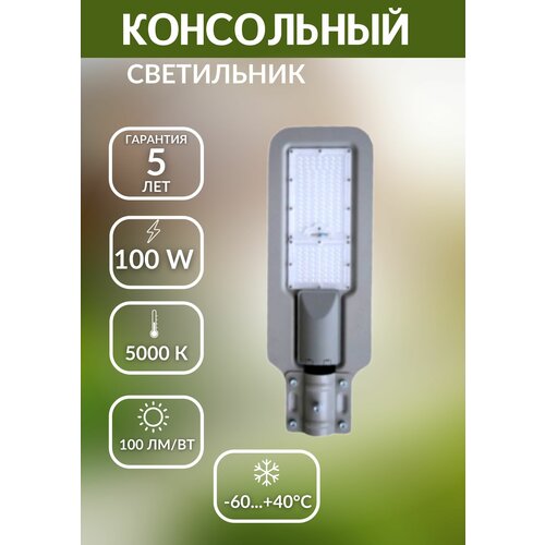 Консольный Светильник LED 100W 5000К фонарь уличный серый