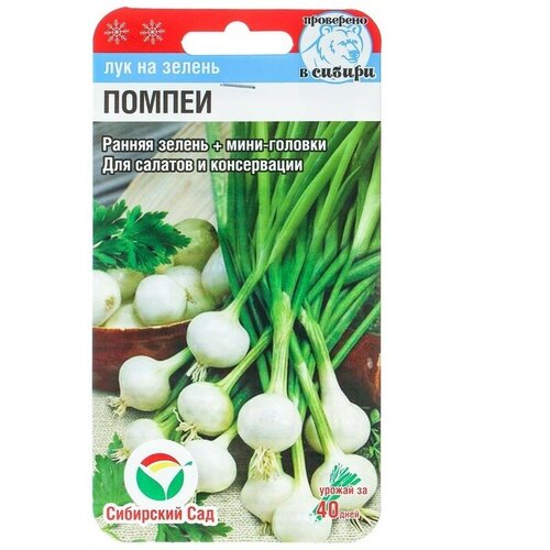 Семена Лук на зелень "Сибирский сад", "Помпеи", 0,5 г (2 шт)