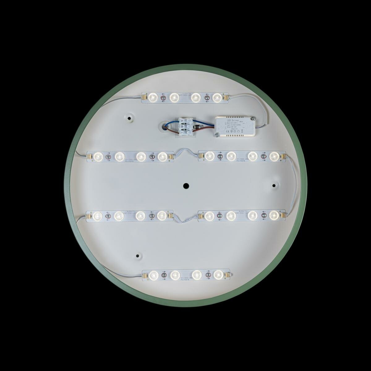 Потолочный светильник Loft IT AXEL 10002/24 Green - фотография № 3