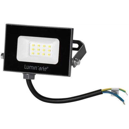 Прожектор светодиодный уличный Luminarte 10 Вт 5700K IP65 холодный белый свет