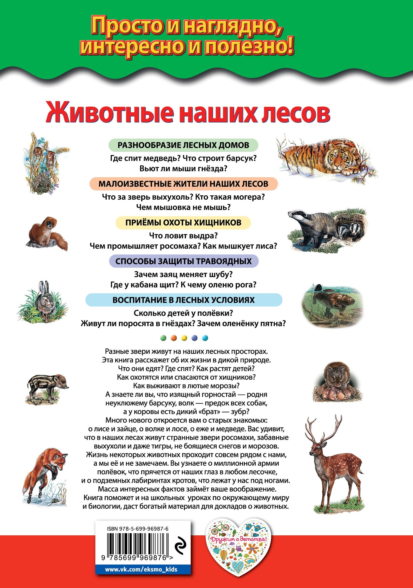 Животные наших лесов. Все лесные звери России (для ПР) - фото №2