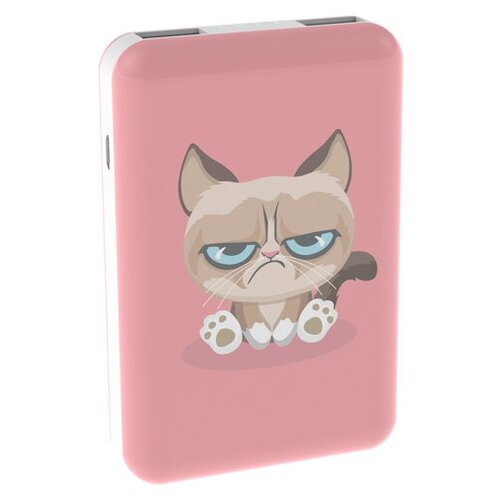 Внешний аккумулятор Ritmix Power Bank RPB-10007 10000mAh Grumpy Cat 273900₽