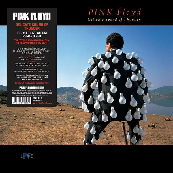 Виниловая пластинка Pink Floyd. Delicate Sound Of Thunder (2LP, Remastered)