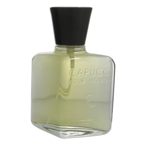 Roberto Capucci туалетная вода Pour Homme, 100 мл