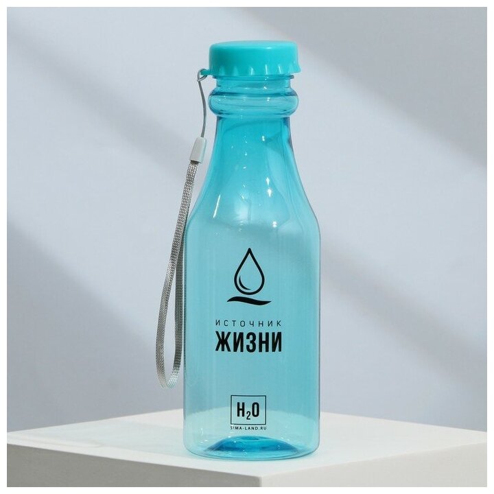 Бутылка для воды "Источник жизни", 550 мл