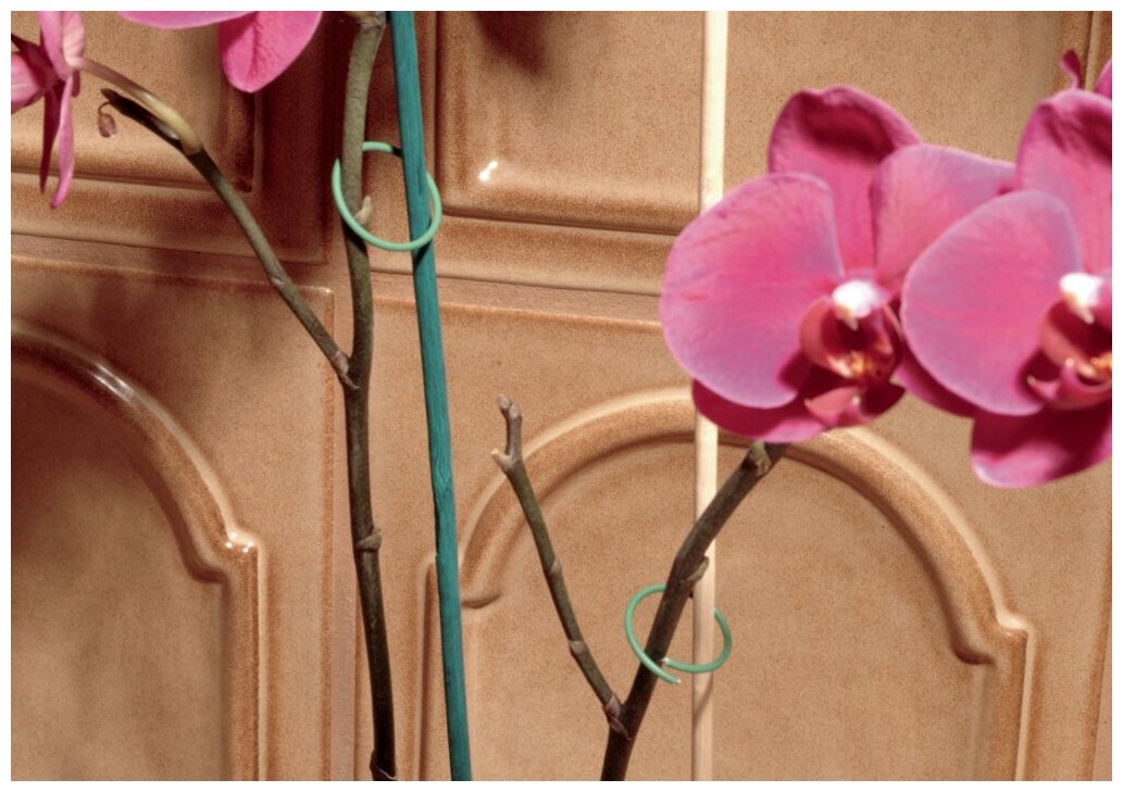 Палочки для крепления цветов и растений, высота 40 см, диаметр 4,5-5 мм, 15 шт., 10976 - фотография № 3