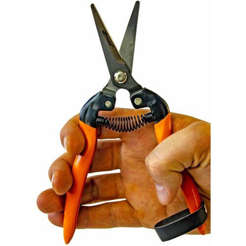 Секатор-ножницы с изогнутыми лезвиями, садовый, 185 мм. секатор skrab 28182 оранжевый