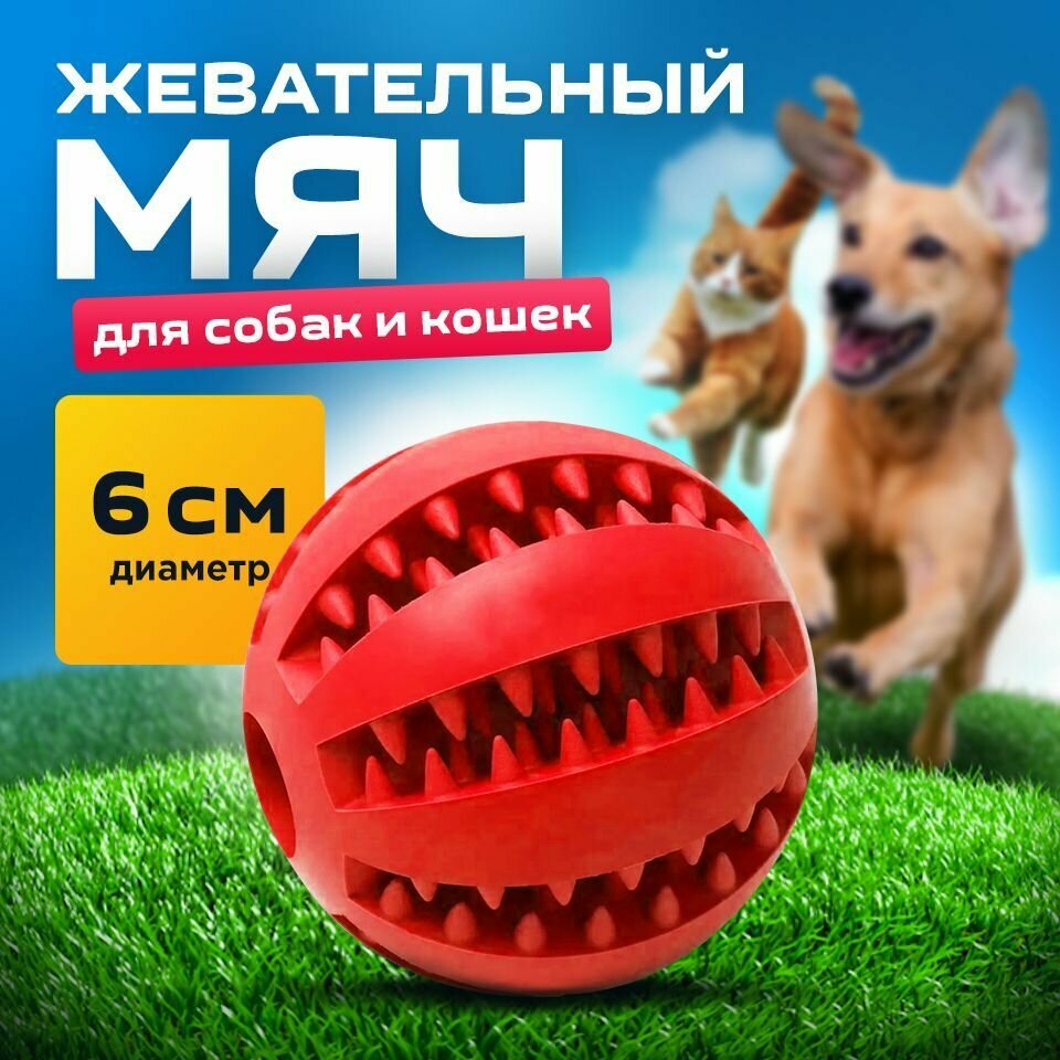 Мяч для собак красный 6 см/для чистки зубов /развивающая жевательная игрушка для мелких и средних пород - фотография № 1