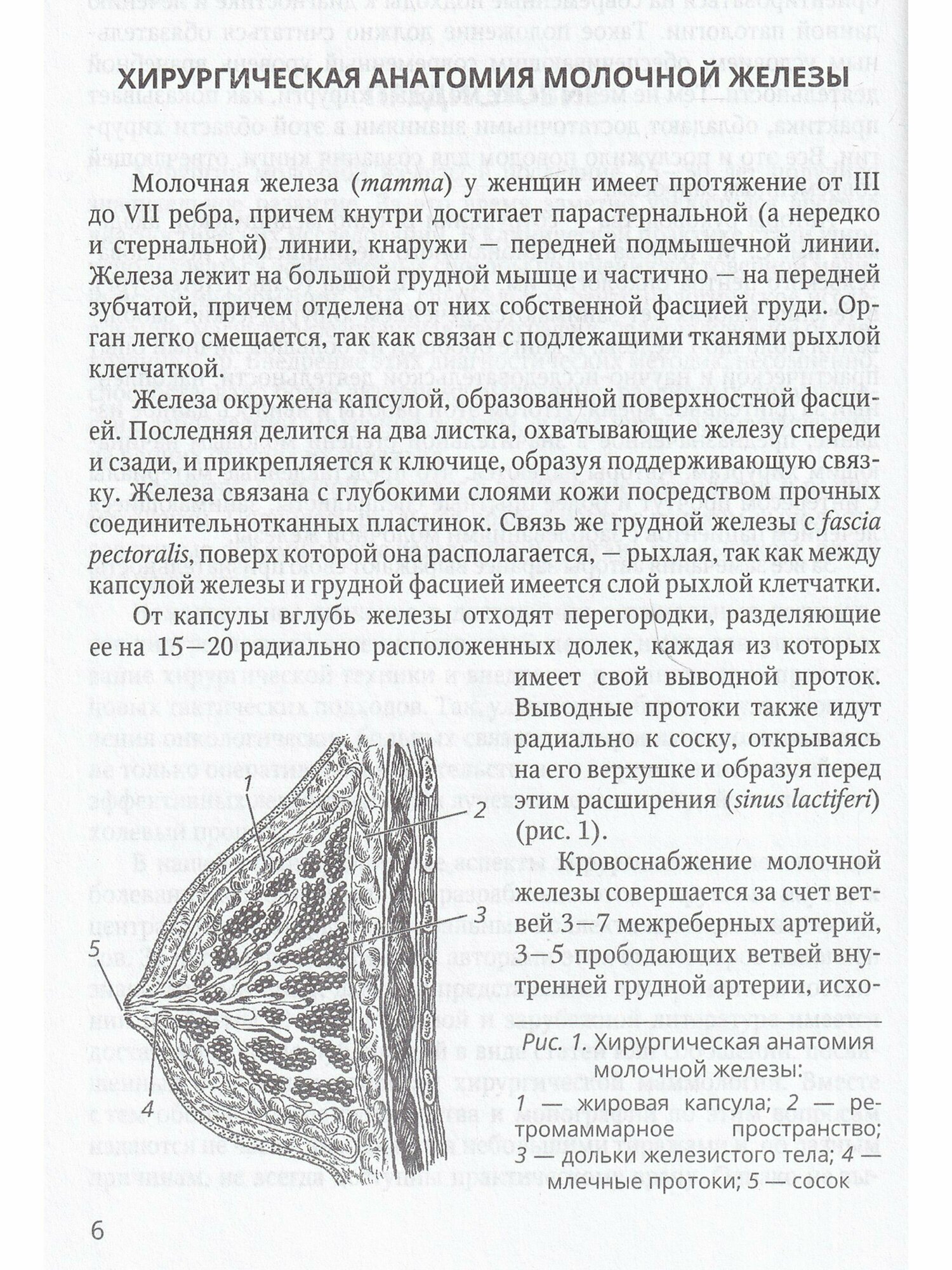 Хирургия молочной железы. Руководство для врачей - фото №11