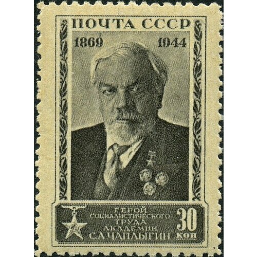 (1944-46) Марка СССР Портрет (Серая) С. А. Чаплыгин. 75 лет со дня рождения I Θ 1944 46 марка ссср портрет серая с а чаплыгин 75 лет со дня рождения iii o