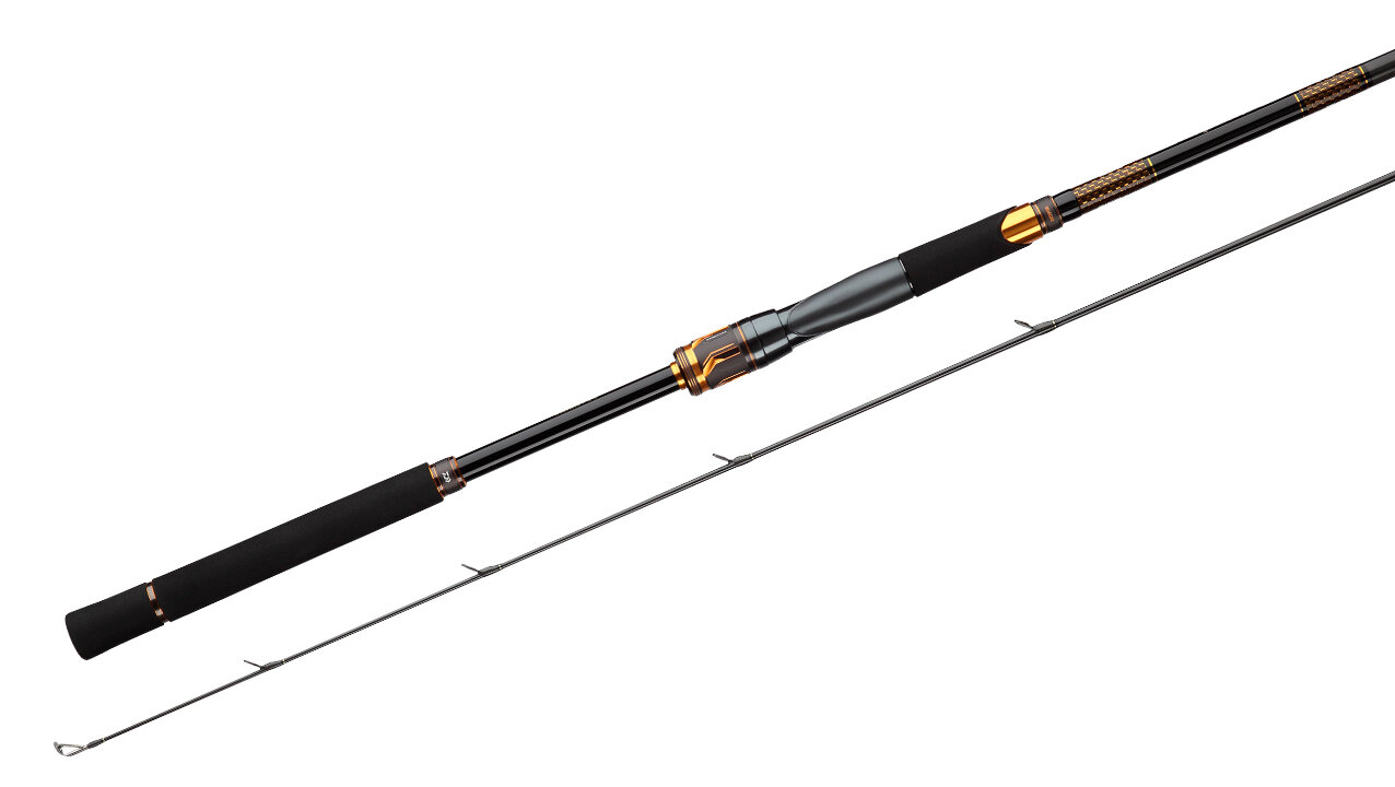 Спиннинг Daiwa Morethan Branzino EX AGS (94M/MH)